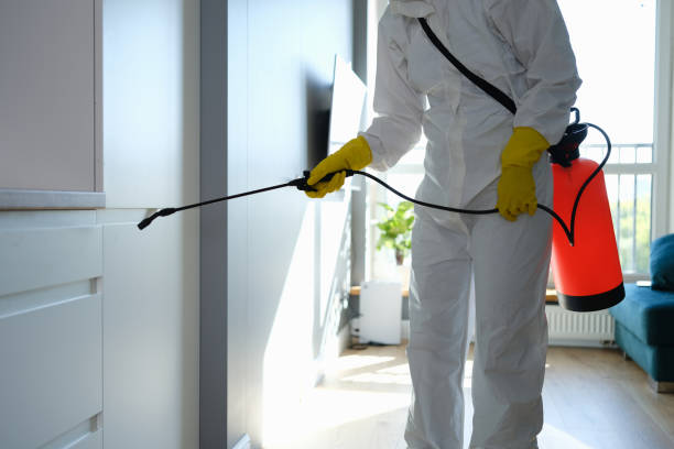 Trusted Sturgeon, MO Mold Remediation Experts